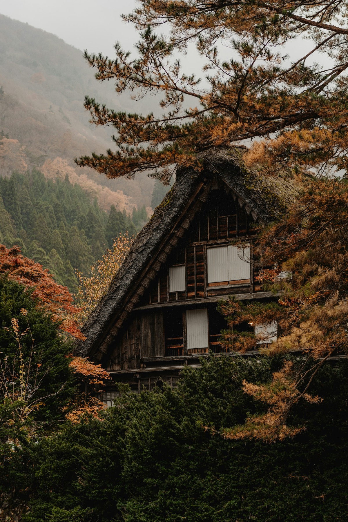 木々に囲まれた茅葺き屋根の民宿