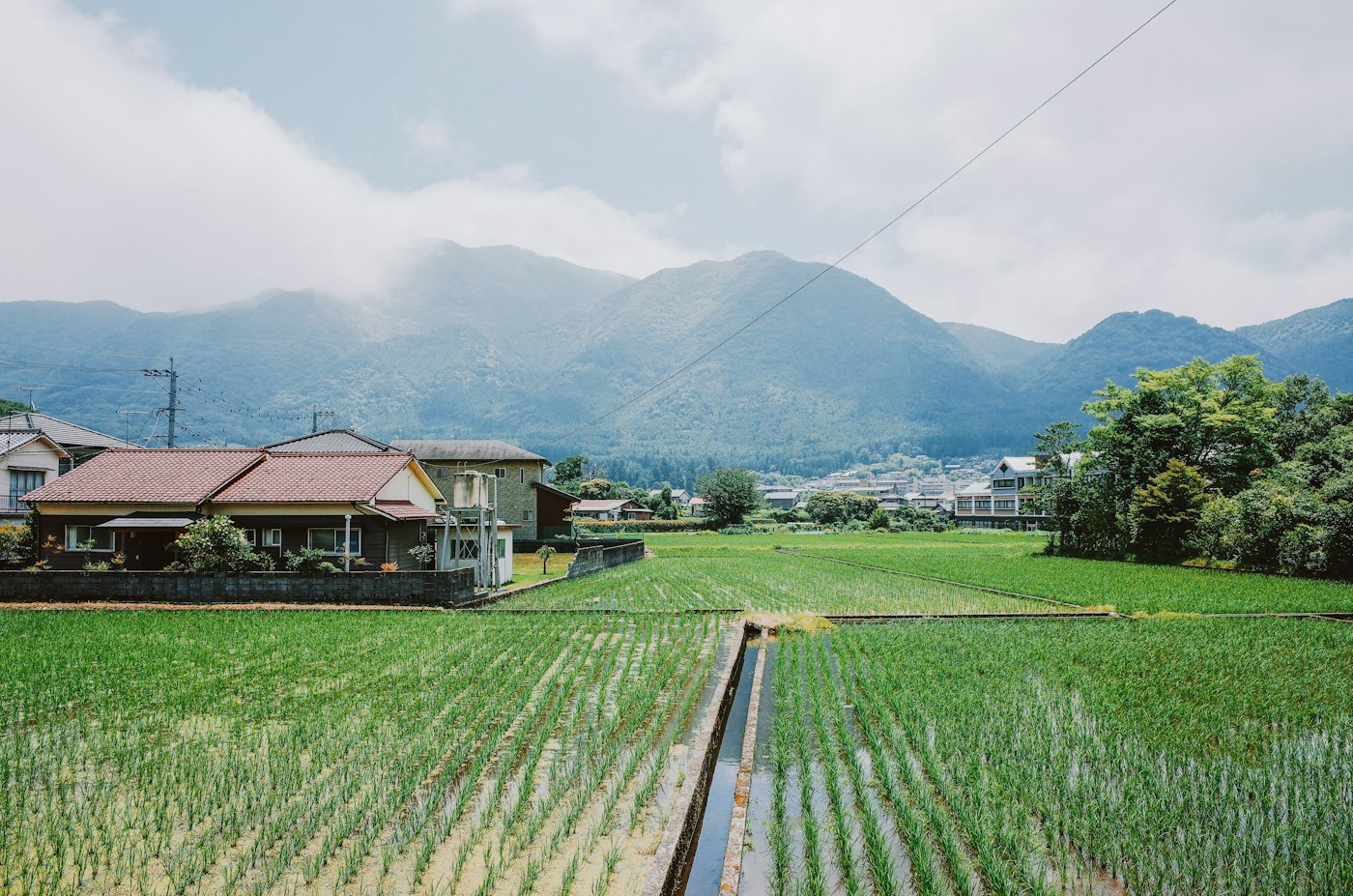 山あいの田んぼ