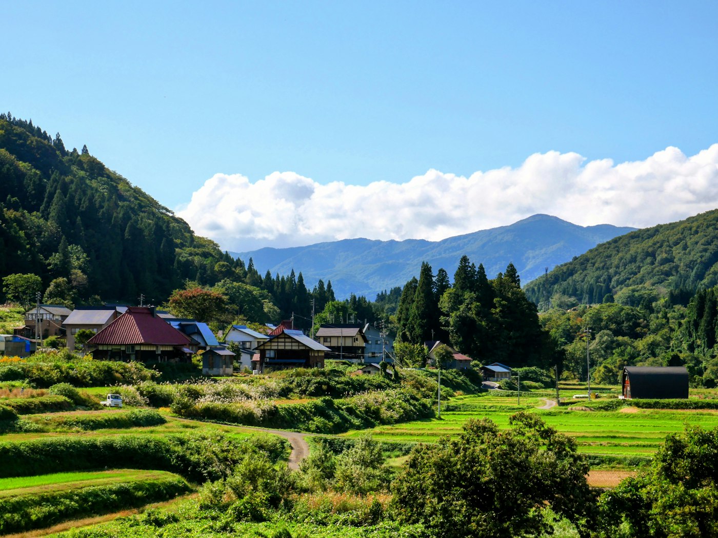 夏の青空と緑の山里